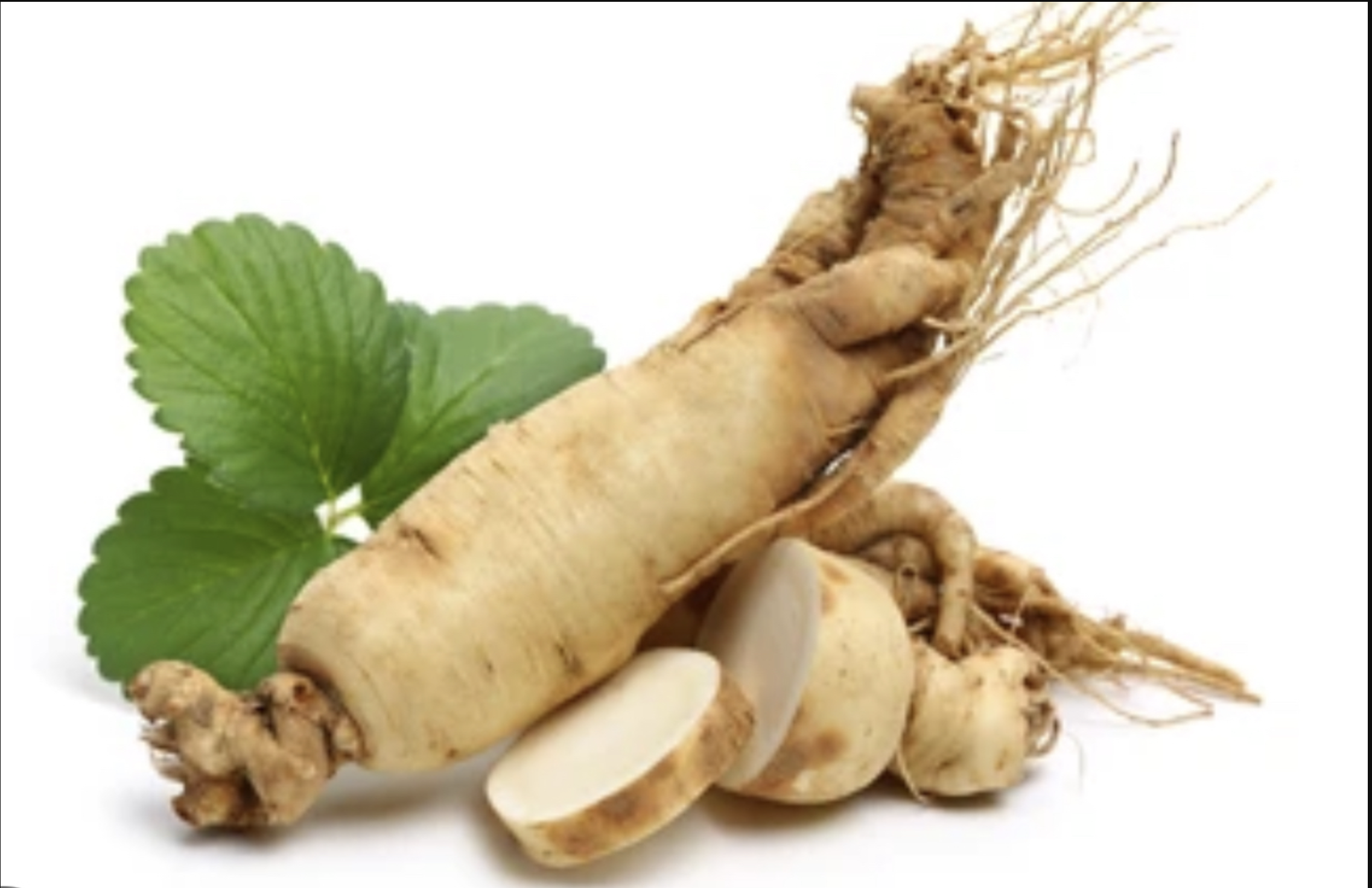 Ginseng